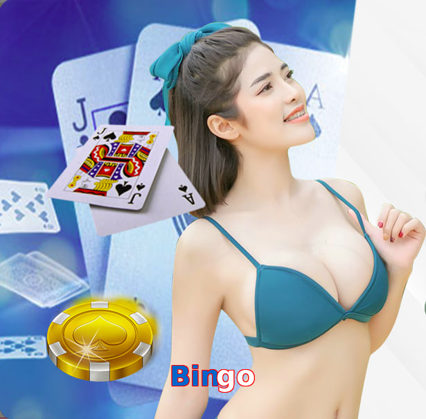 Bingo featured